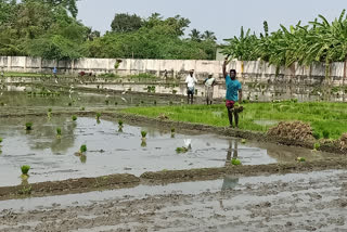 farming