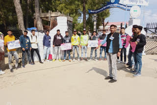 nsui protest in hamirpur