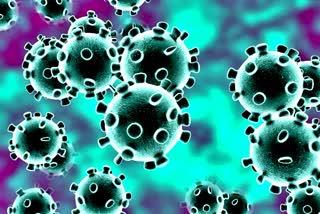 coronavirus toll rising in iran