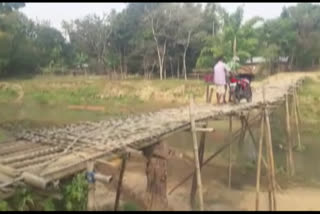 bamboo bridge poor communication at dhemaji assam etv bharat latest news