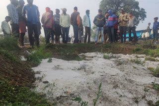 crops of farmers were destroyed by hailstorm