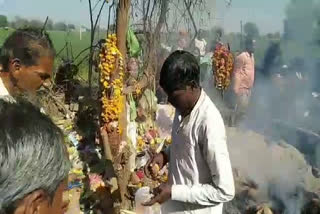 Acacia tree becomes the center of faith IN SHEOPUR