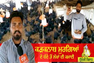 Mansa youngster earning lakhs from hens farming