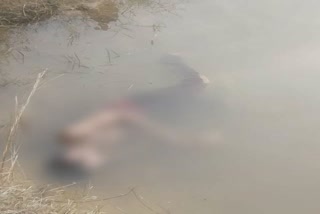 Dumka police, the dead body of a youth found in Dumka, dead body found in pond, दुमका पुलिस, दुमका में मिला युवक का शव, तालाब में मिला युवक का शव