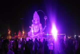 Narmada cow Kumbh singers tied