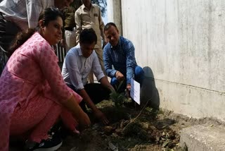 Tree planting program