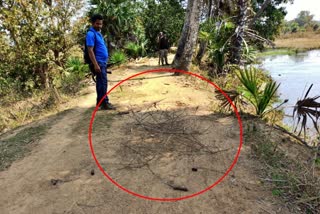 Naxalites had put up spike holes to harm the security forces