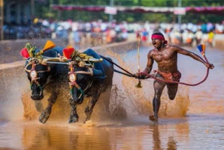 Kambala jockey may wear spikes at Sports Authority of India centre