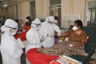 Amid COVID-19 outbreak, take precaution against swine flu also