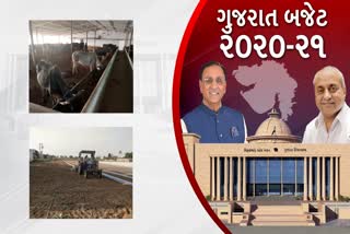 response-of-banaskantha-farmers-on-gujarat-budget