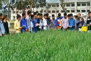 agricultural awareness camp in rewari