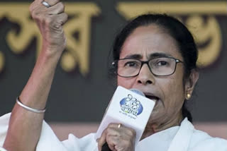 'Is it the end of democracy?' Mamata pens poem condemning Delhi violence