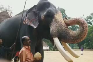 guruvayur temple elephant gajaratnam padmanabhan died