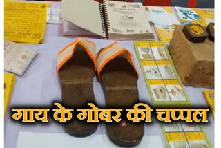 Dung slippers became the attraction of Mandi Maha Shivaratri