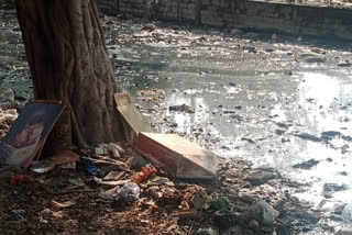 Pratap Nagar: Garbage filled in the pond, MLAs and councilors are not paying attention