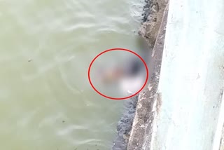 Newborn body found at Rani Sagar pond