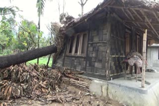 Jonai Hailstorm : Many house collapsed