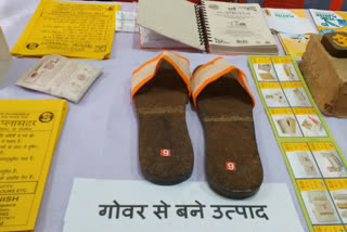 Cow Dung sandal