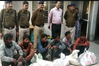 Police arrested 6 accused of smuggling sandalwood