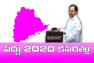 telangana-chief-minister-kcr-review-on-2020-21-budget