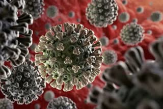 due-corona-virus-dead-toll-reaches-2788-with-44-more-deaths-in-china