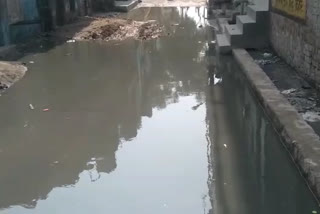 Sarada Enclave, dirty water from the drain has been filled in the streets for many months.