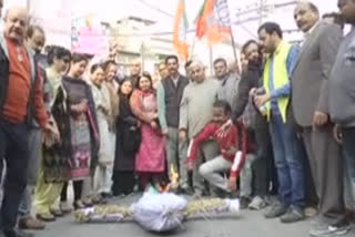 bjp-demonstrates-aam-aroras-burng-effigy-of-aap-mla