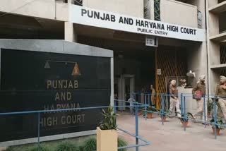 Next hearing on Protection Home, punjab and haryana court