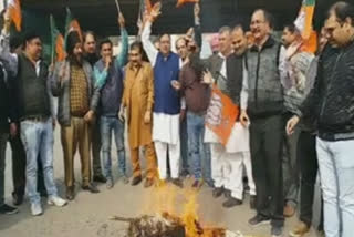 bjp-burn-effigy-of-aman-arora-in-mandi-gobindgarh