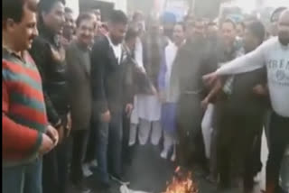 pathankot-bjp-burn-aman-aroras-effigy