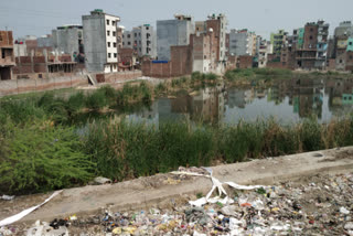 Rain water filled for years on the vacant land of Municipal Corporation of Delhi