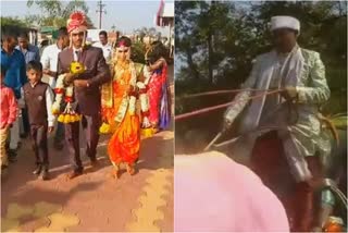 Bridegroom use Bullock cart