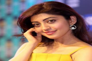 pranitha subhash