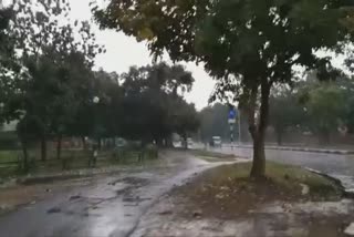 rain chandigarh