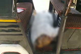 भीलवाड़ा की खबर, elderly died