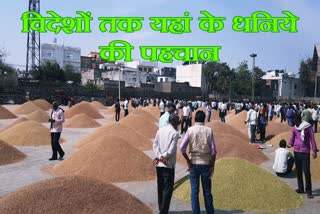 coriander seed of ramganj mandi, kota news