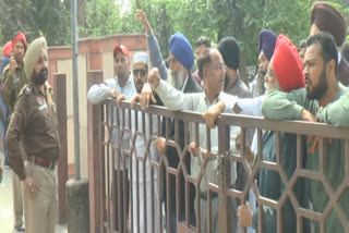 Delhi violence: organizers protest in Hoshiarpur for action against the accused