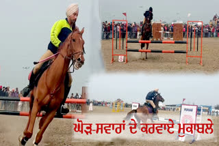 Gurdaspur cattle fair : horse rider winner special talk with ETV bharat