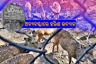 illegal deer park in anugul