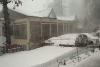 heavy rain and snow fall in himachala pradesh