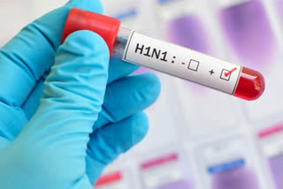 coronavirus  coronavirus  swine flu deaths  പന്നിപ്പനി  ഉത്തര്‍പ്രദേശ്  കൊറോണ