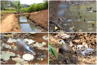 ഇടുക്കി  രാജാക്കാട് തോട്  Rajkad stream is filled with waste and liquor bottles.  water scarcity in Idukki