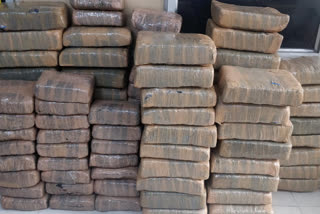 Delhi NCB team seized 386 kg cannabis from accused