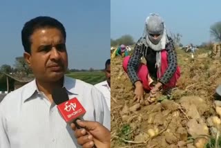 धौलपुर न्यूज, राजस्थान न्यूज, dholpur news, rajasthan news, क्षेत्रीय विधायक मलिंगा का दौरा