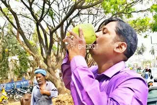 Tender coconut in Hassan