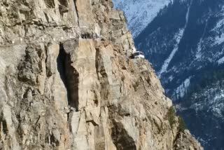 A young man committed suicide in Kalpa