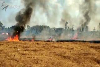 fire on the pasture grass