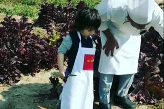 Taimur Ali Khan picks organic veggies at a farm