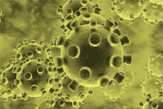 New virus: Over 88,000 infected globally, 3,000 dead