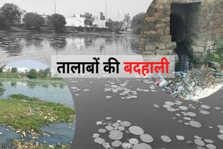 Poor condition of ponds in Dongargaon of Rajnandgaon